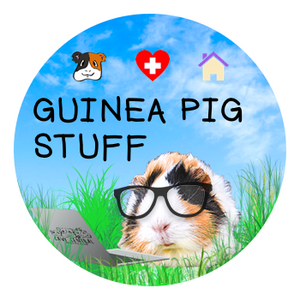 Guinea Pig Stuff